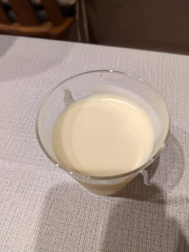 ガスパールザンザン 大丸京都店 - サブ画像3