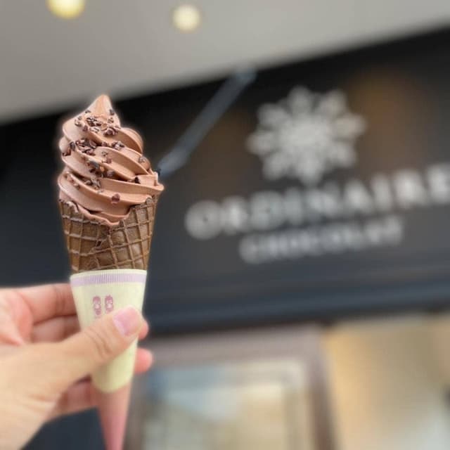 ORDINAIRE CHOCOLAT - サブ画像2