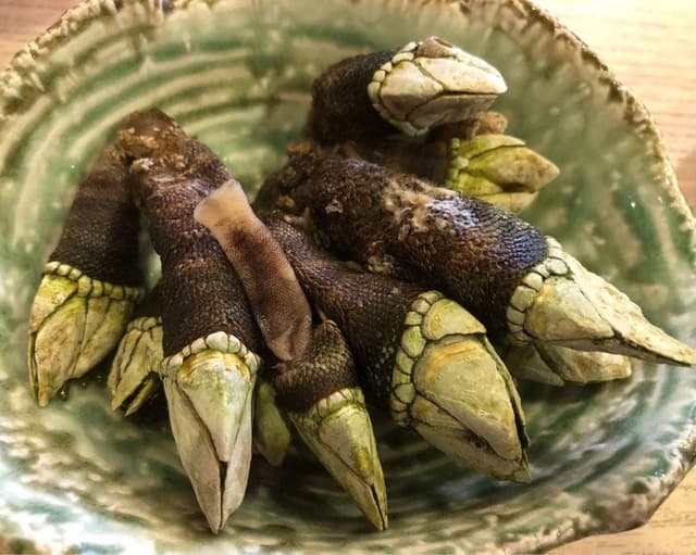つきぢ神楽寿司 本店 - サブ画像3