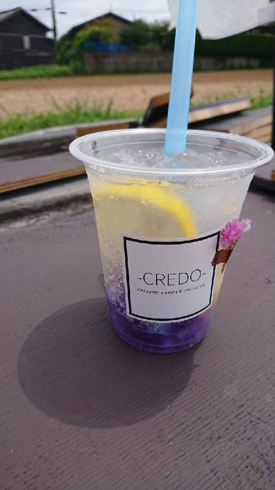 CREDO