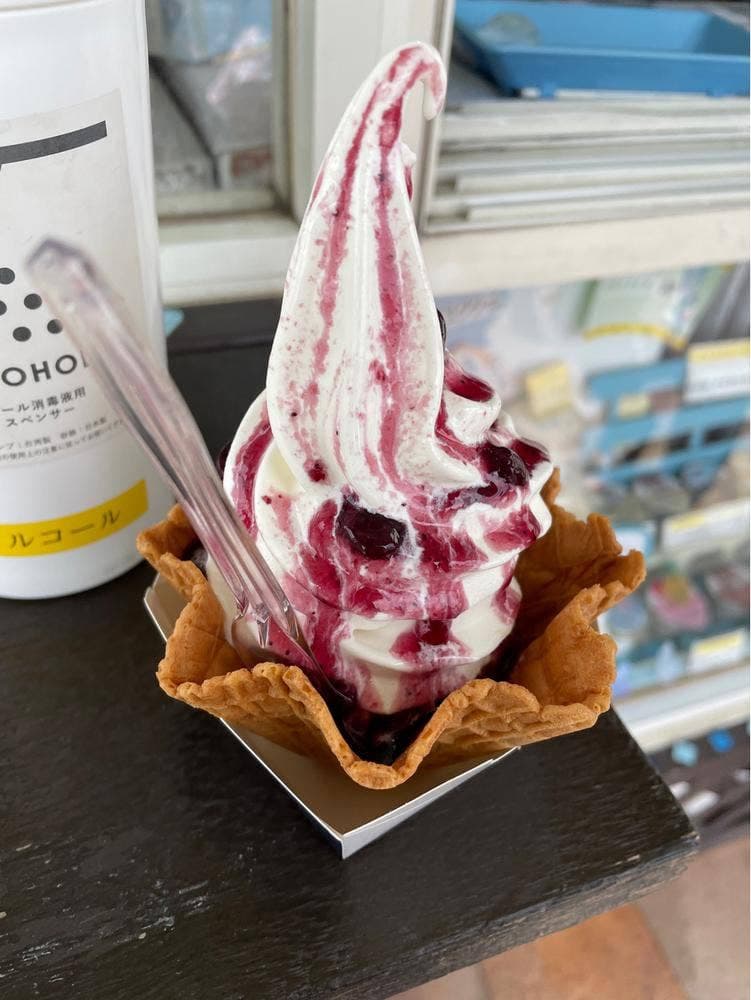 新生酪農千葉工場アイスクリームショップ