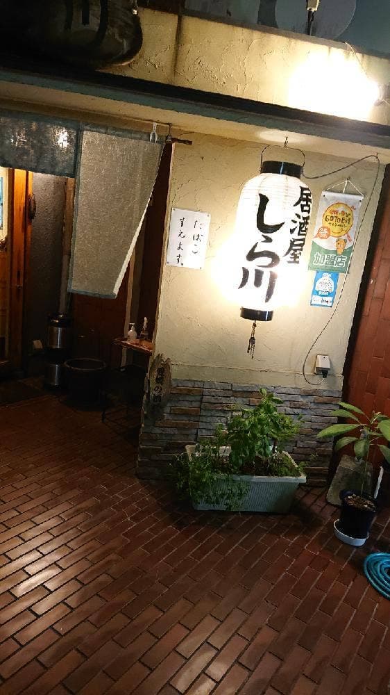 しら川 - サブ画像2