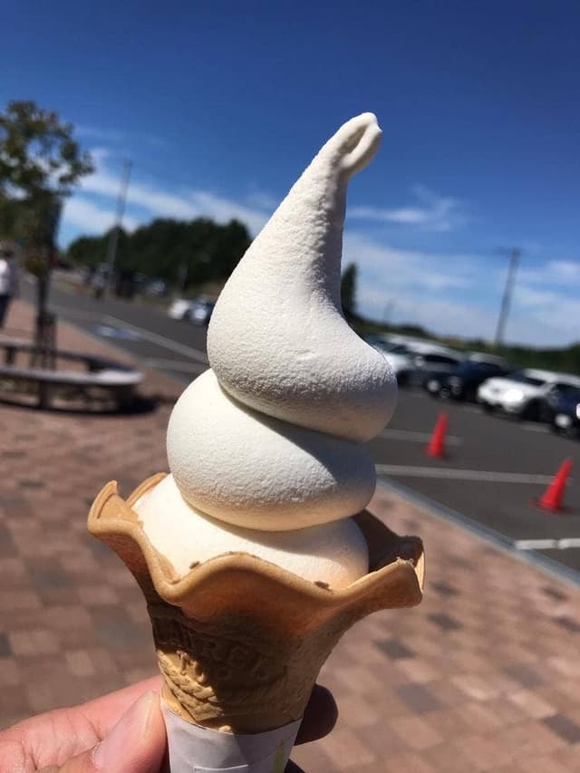 道の駅あびら D51ステーション - サブ画像1