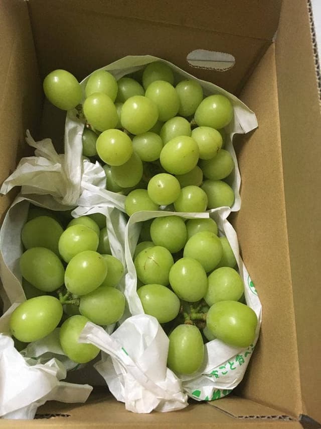 サカイダフルーツ - サブ画像3