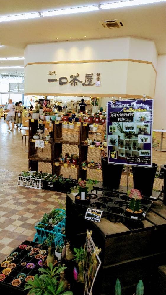 一口茶屋 岡山ダイキEX店 - サブ画像2