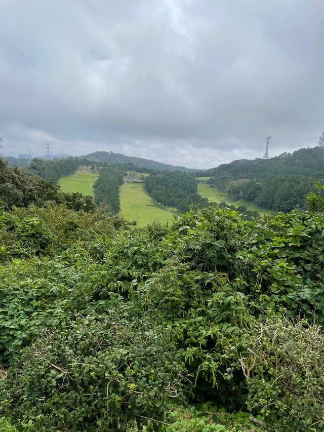 ラ・メール 葉山国際カンツリー倶楽部 レストラン - サブ画像3