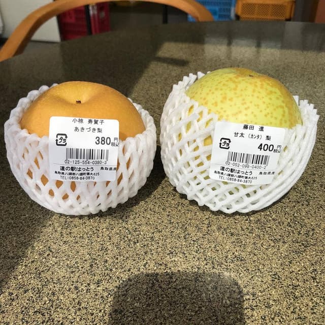 道の駅 はっとう フルーツ総合センター - サブ画像2