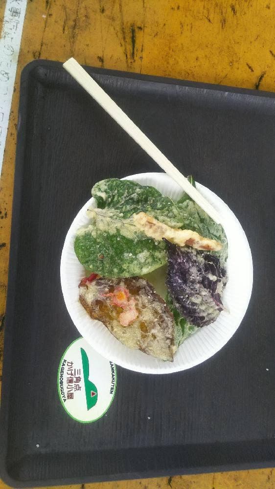 景信山頂上 景信茶屋 青木