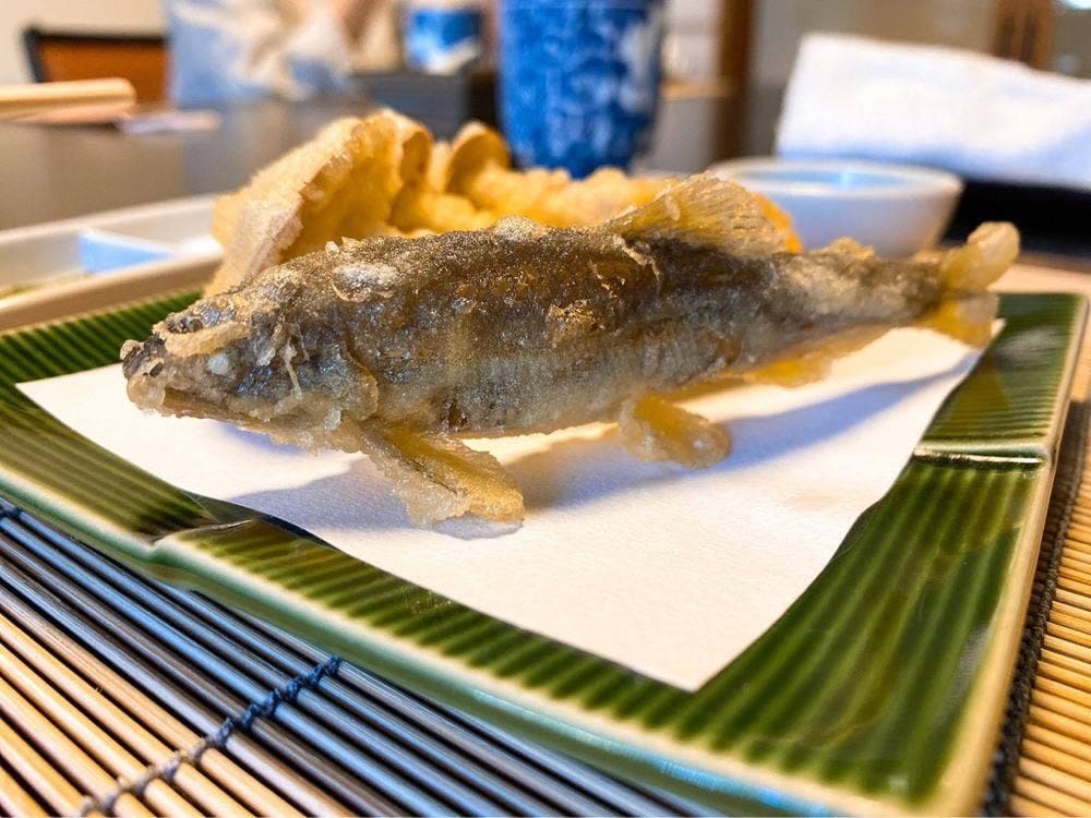 京都祇園 天ぷら八坂圓堂