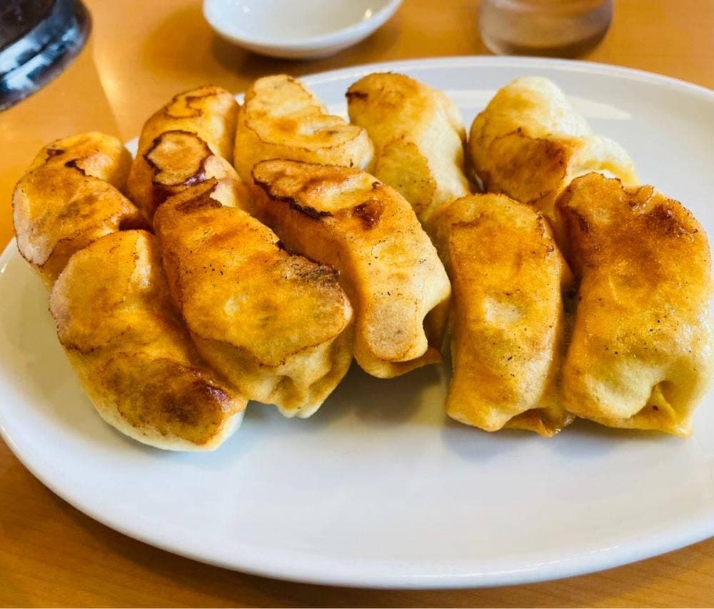 ぎょうざのさのや