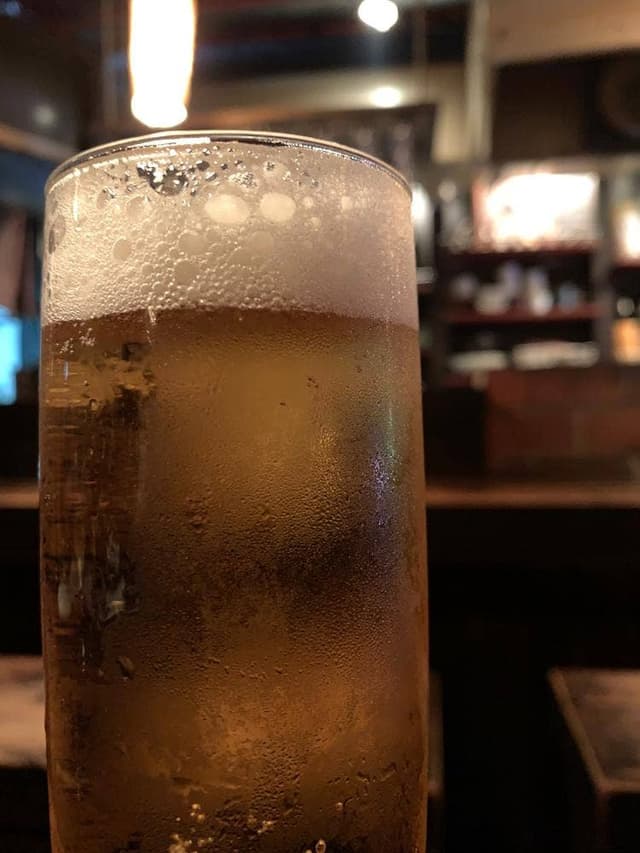 火鳥HINOTORI - サブ画像1