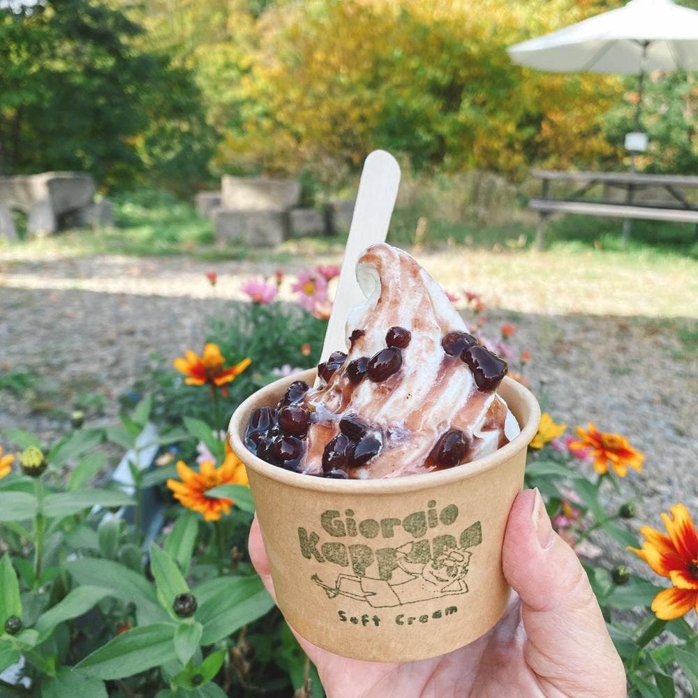 ヴェルジネバッカーノ