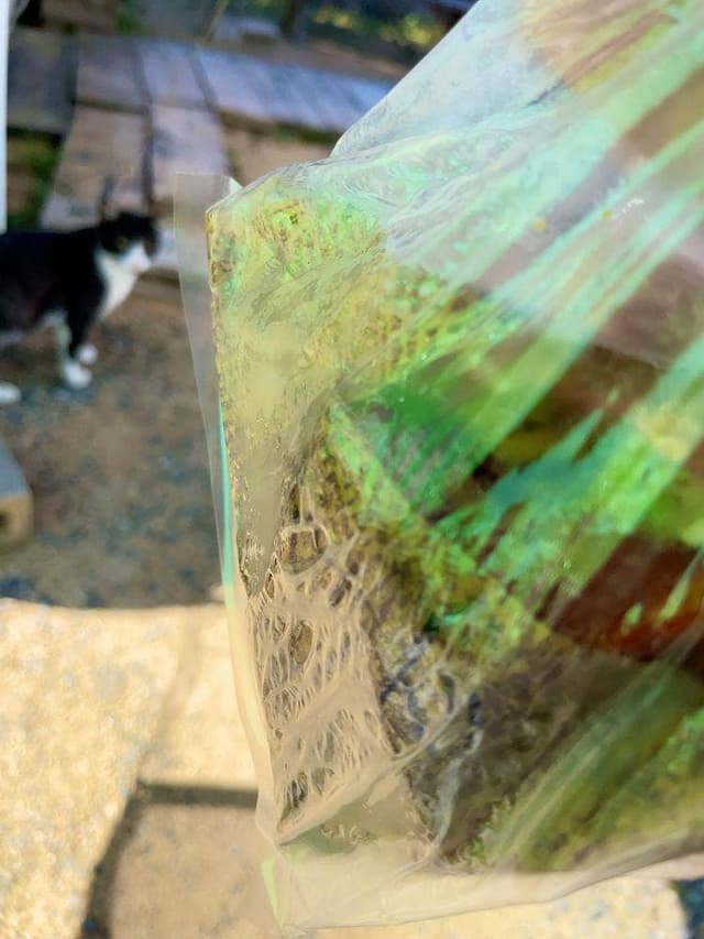 B+ Booth ふらり - サブ画像1