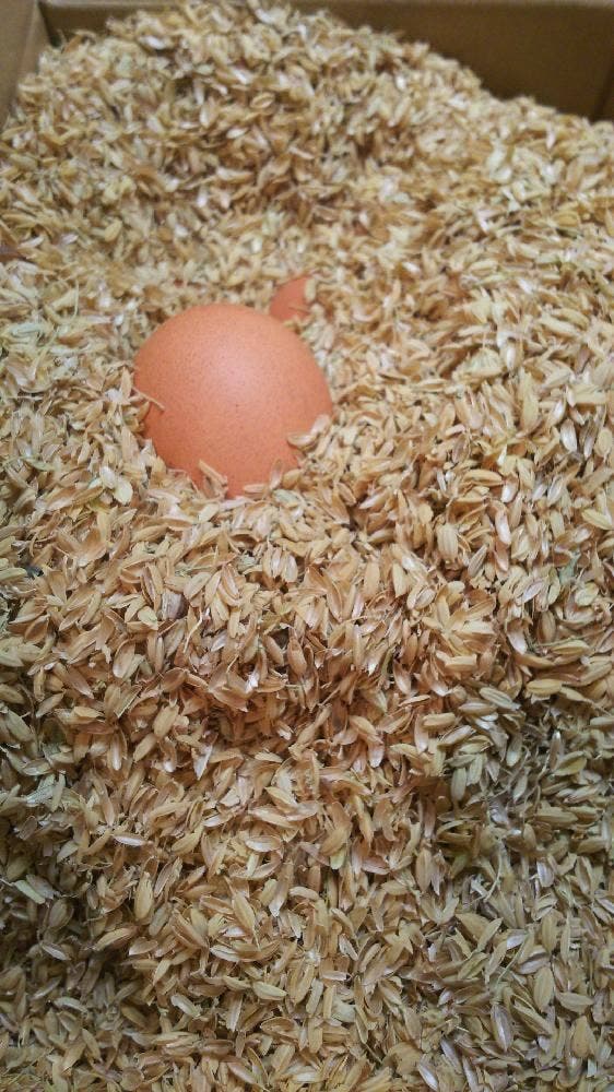 大江ノ郷テラス