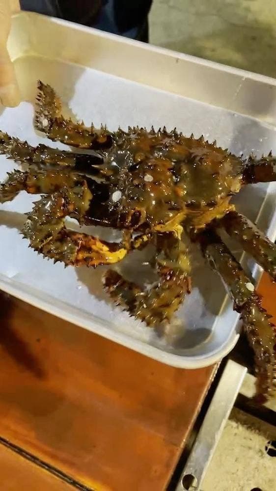 海鮮炉端 浜番屋
