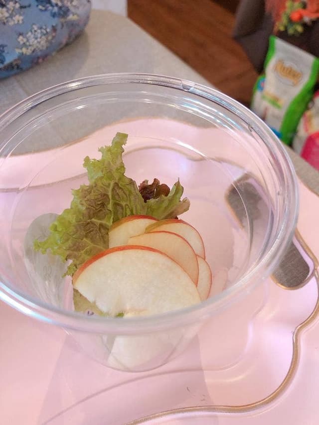 猫とウサギとスイーツのお店 crème chantilly - サブ画像2