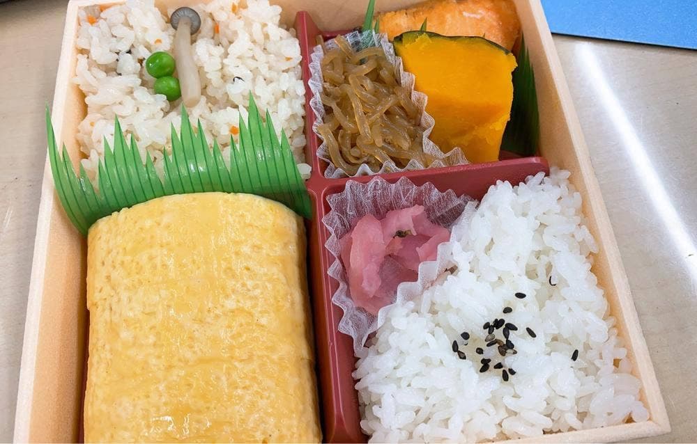 豆藤