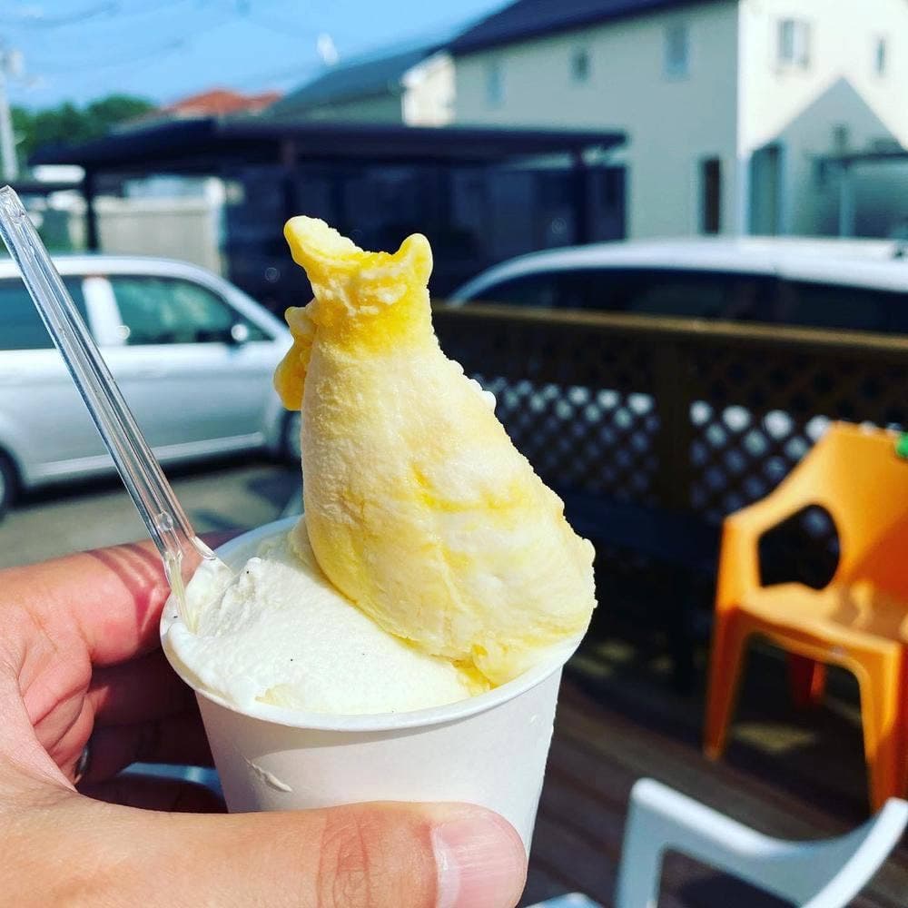 チェルシークリーム