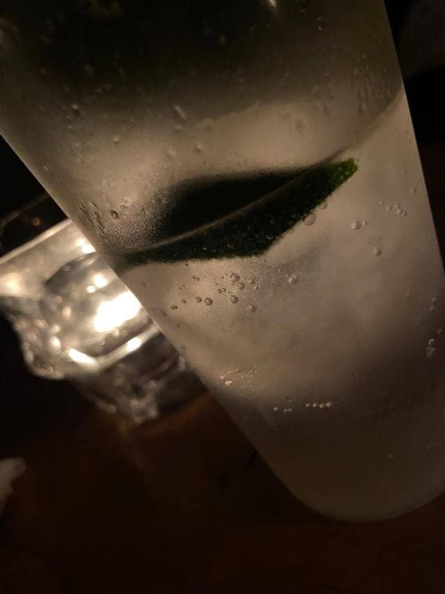 ベンフィディック - サブ画像3