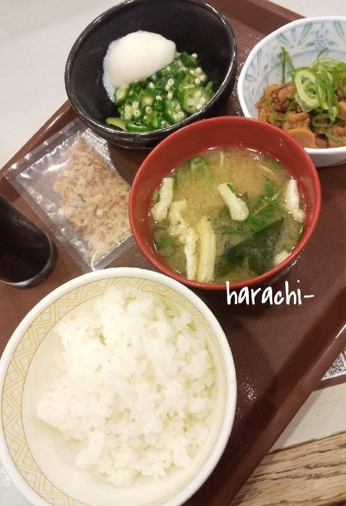 すき家 175号小野黒川店