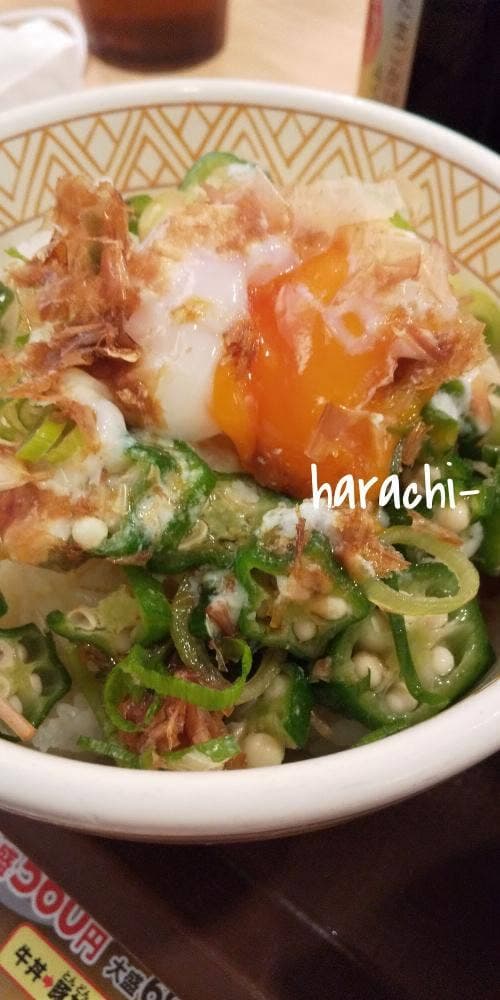 すき家 2国姫路市川橋店 - サブ画像2