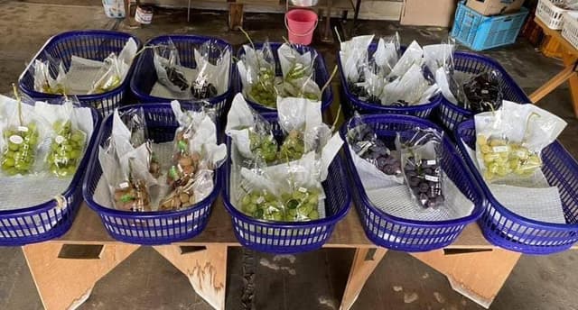 神田精果園 直販所 - サブ画像2