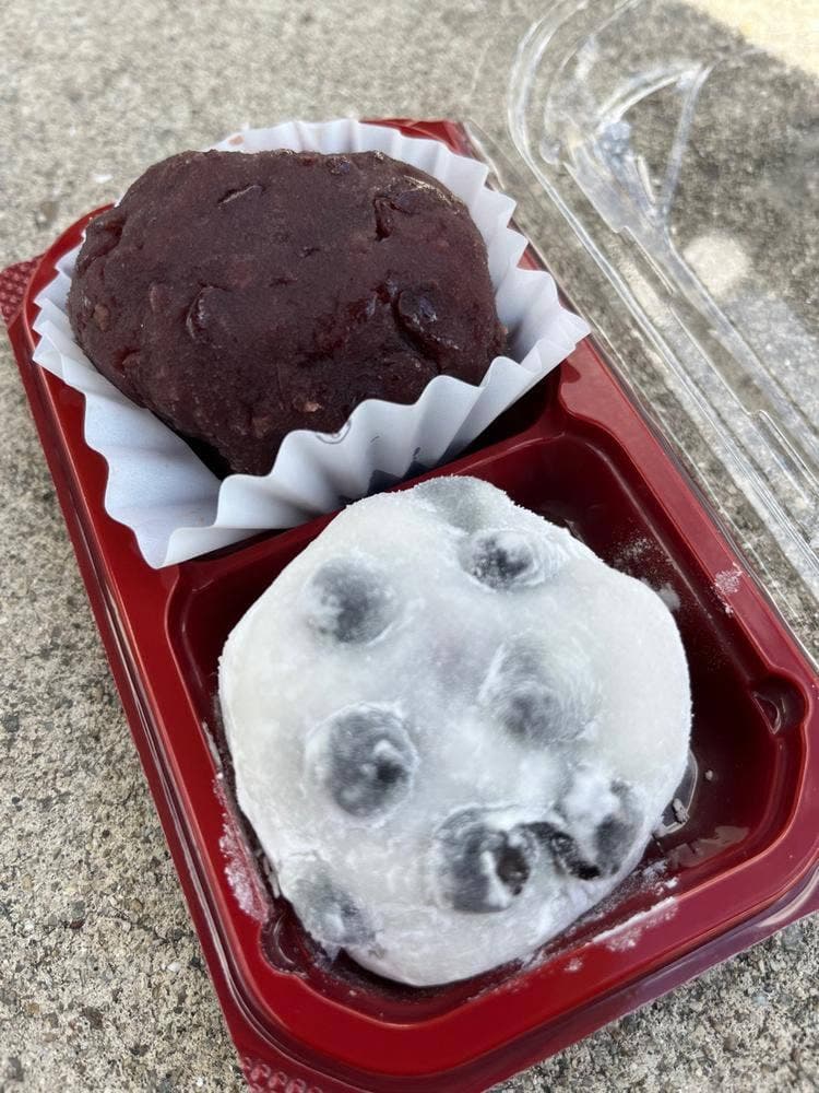 松楽