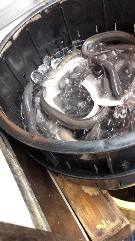 大門 - サブ画像3