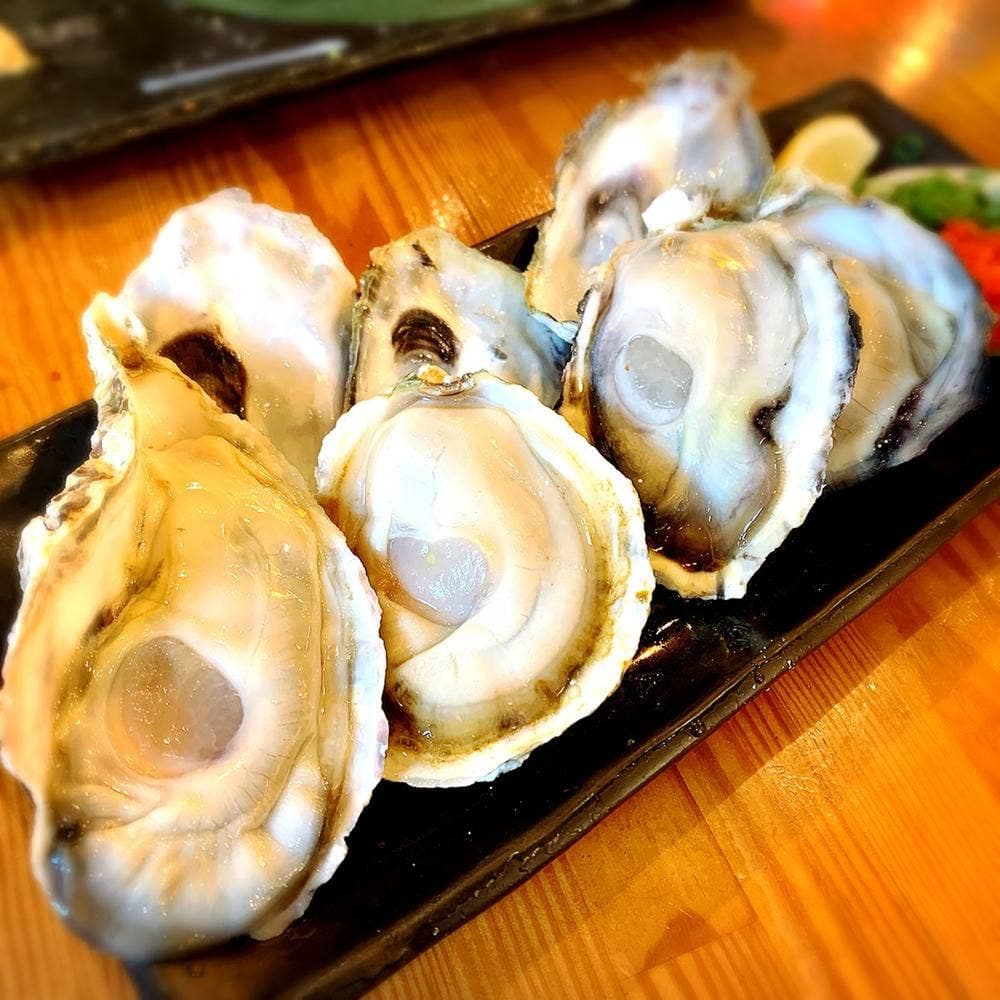 魚〇本店 新橋産直飲食街店
