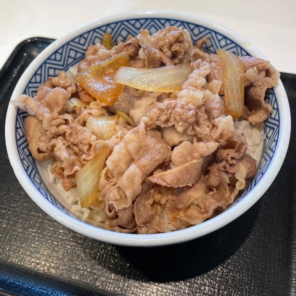 吉野家 18号線上田国分店