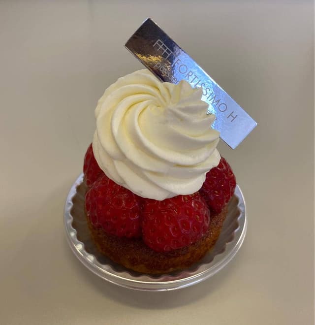 フォルテシモアッシュ - サブ画像2