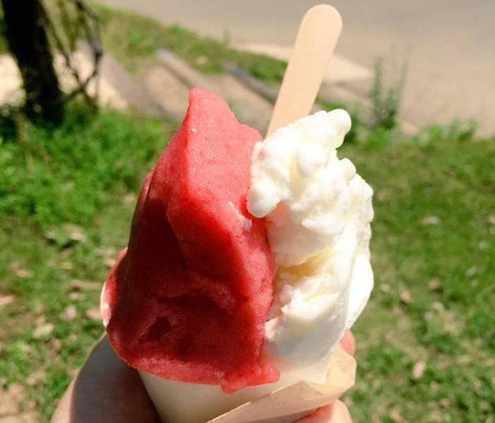 ココガーデン ピッコロ号