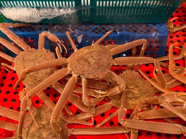 新・函館市場 戸田駅前店 - サブ画像2