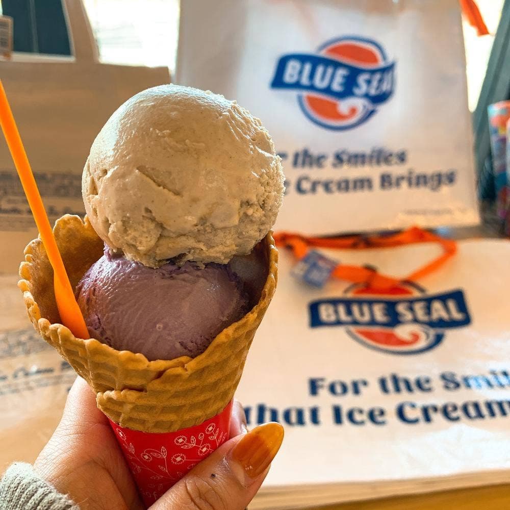 ブルーシール 岐阜ナガラガワフレーバー店