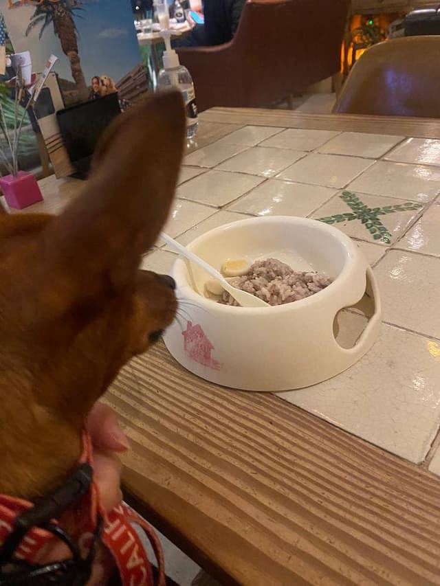 DOG DEPT +CAFE 浅草 隅田川テラス店 - サブ画像2