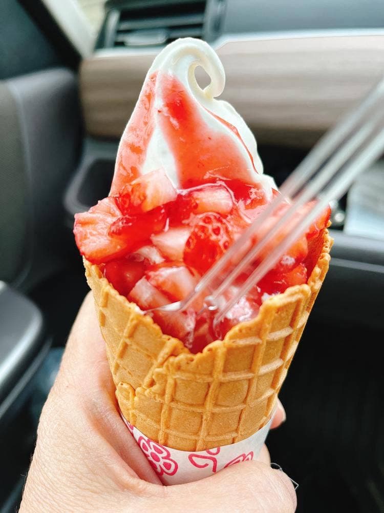 道の駅 松山 やっちくふるさと村