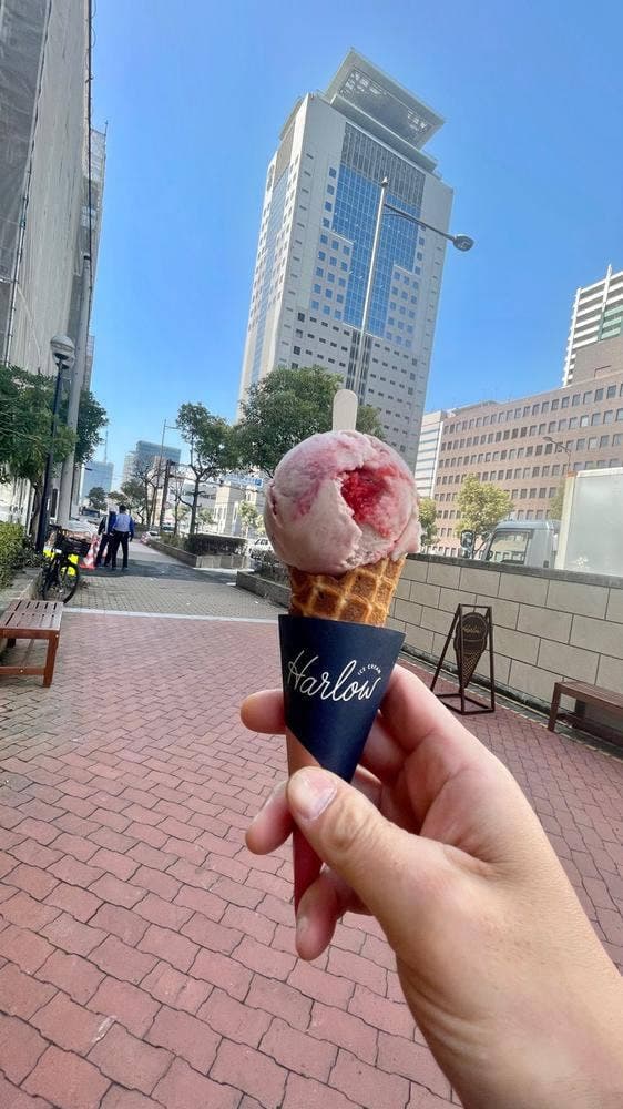 Harlow ICE CREAM - サブ画像1