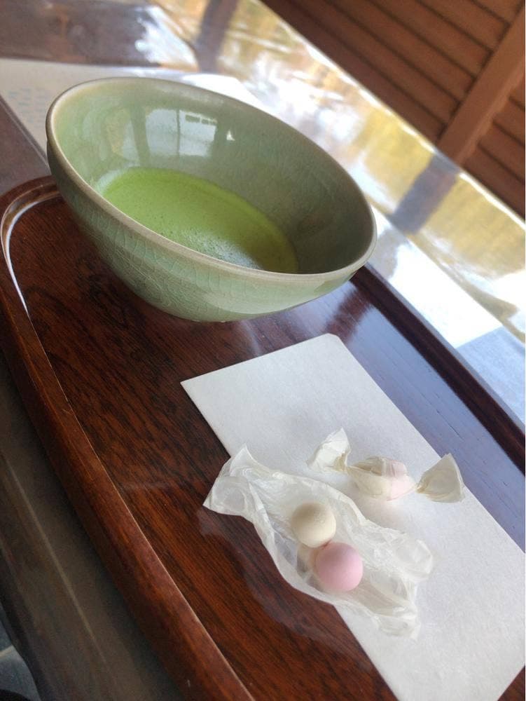 葉山しおさい博物館