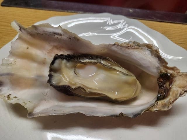 きん太郎 - サブ画像2