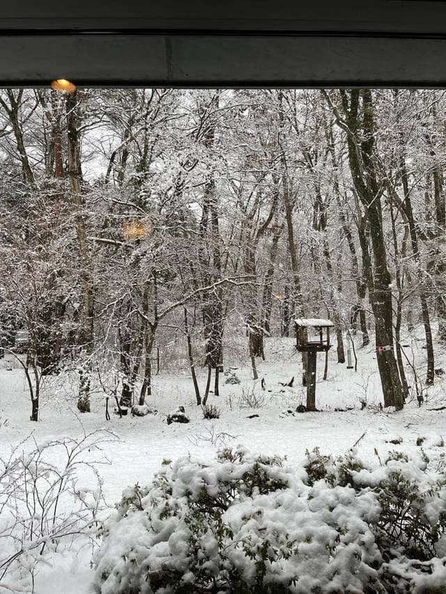 ヴィラ本栖 - サブ画像2