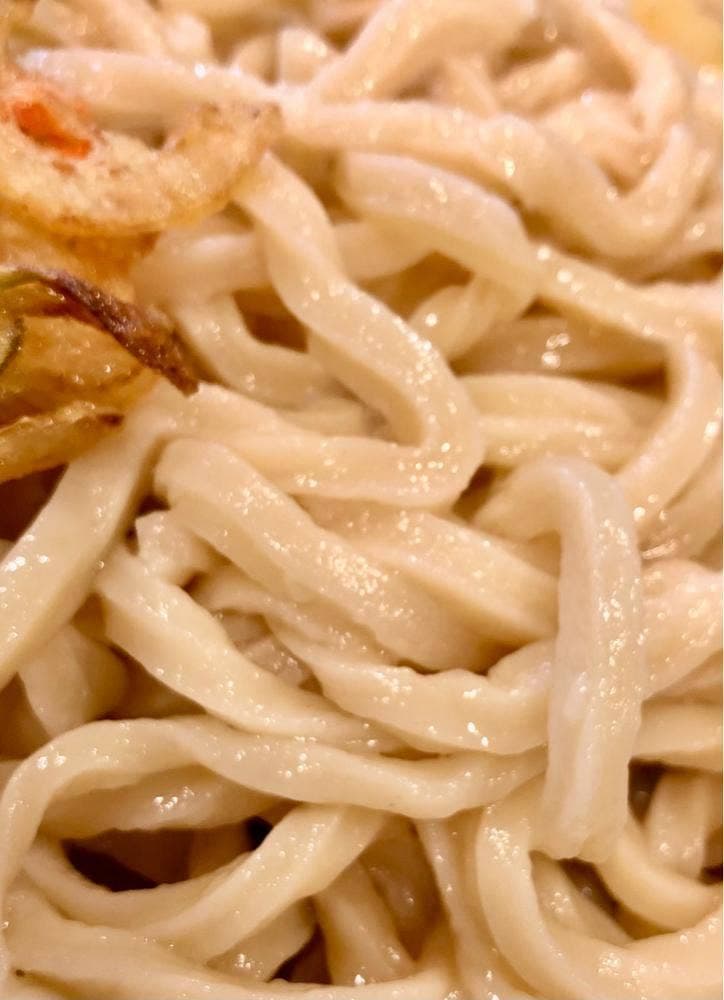 肉汁うどん 青柳