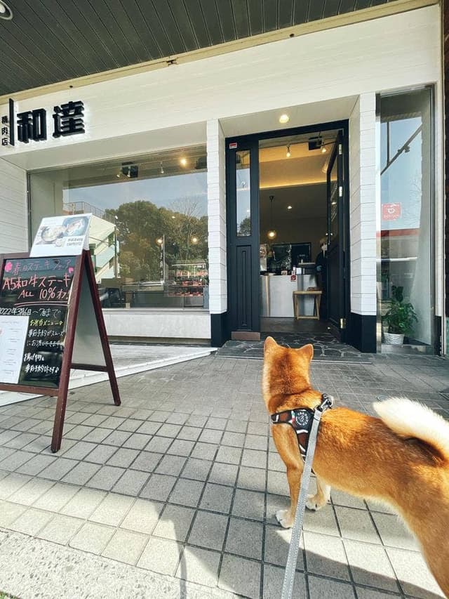 精肉店 和達 - サブ画像3
