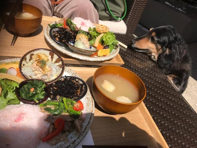 riverside cafe GREEN TERRACE - サブ画像3