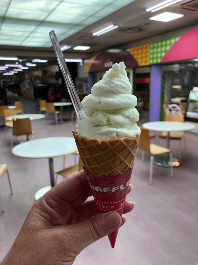 砦農園 メロンドーム店 - サブ画像1