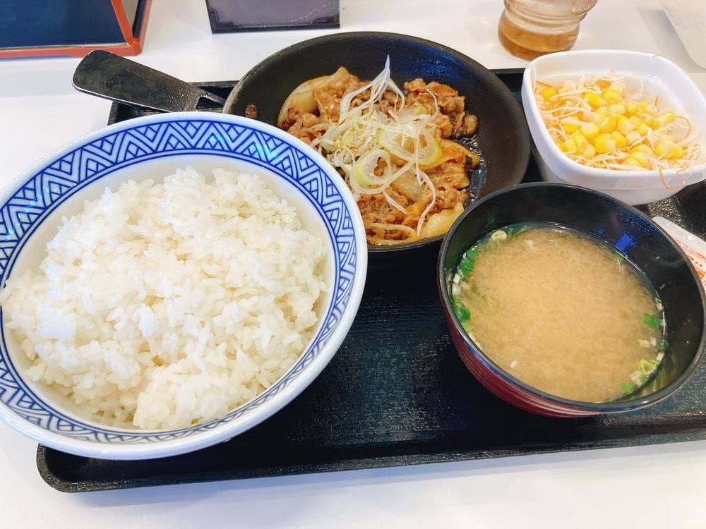 吉野家 仙台岡田店