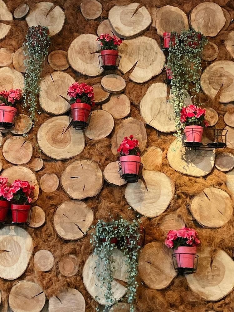 ニコライバーグマン ノム