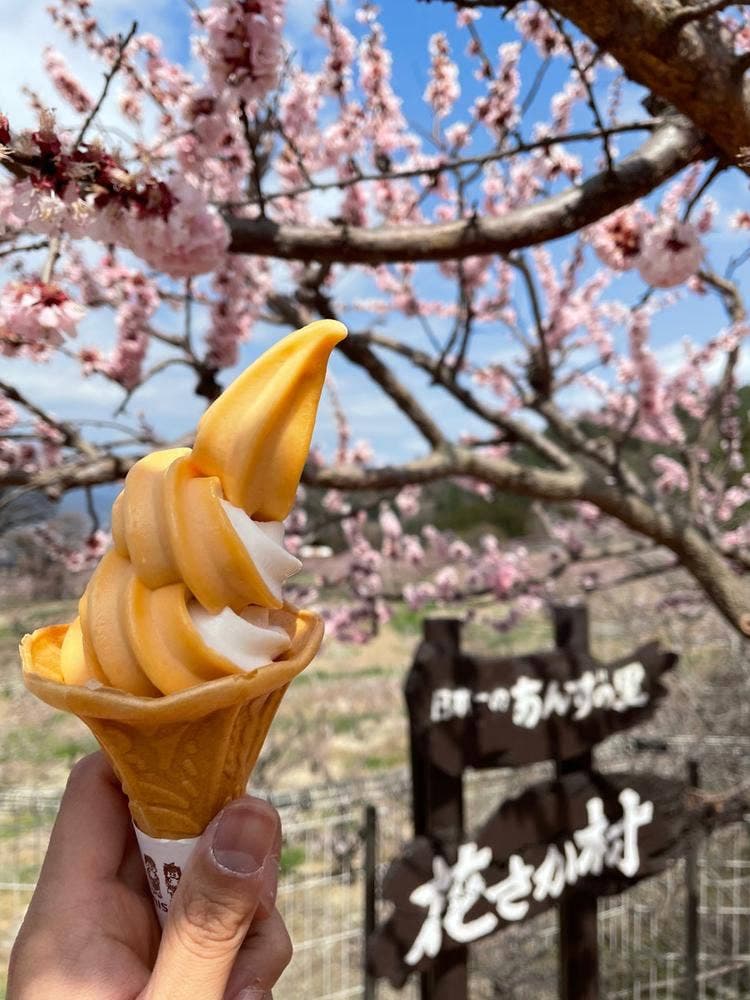 あんずの里のあんずショップ