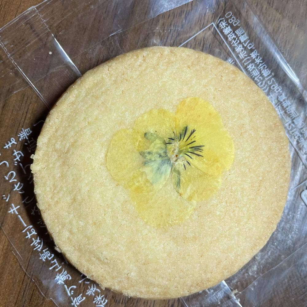 菓心亭かまだ 大手町店