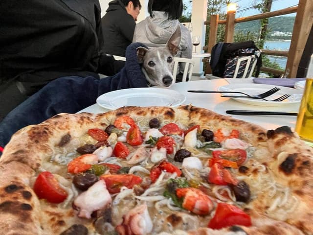 TRATTORIA PIZZERIA 207 - サブ画像2