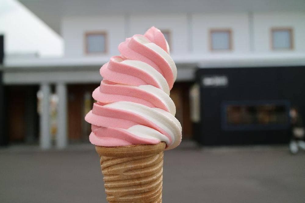 ショップあえーる 道の駅ノンキーランド ひがしもこと